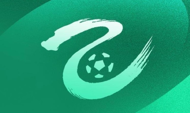 中乙第24轮观众人数：广西恒宸16117人，超越其他场次总和