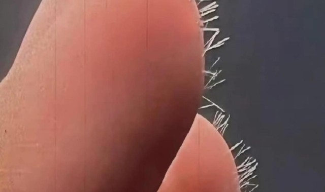 碰一次痒几年！家里这7个“常用物品”都是玻璃纤维做的，要小心