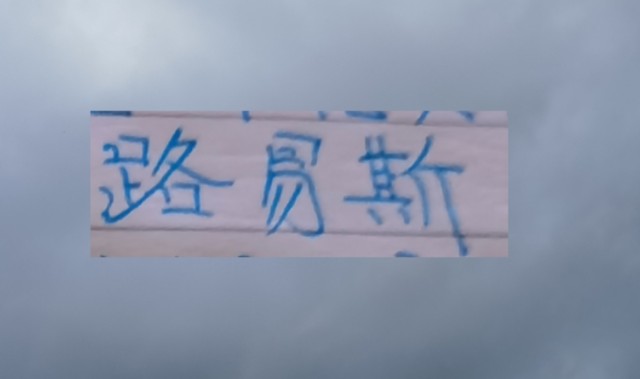 开云体育下载-想不到！没有被申花续约路易斯 回到巴西第二场比赛就进球